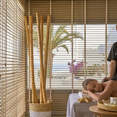 Ios Palace & Hotel Mylopotas
