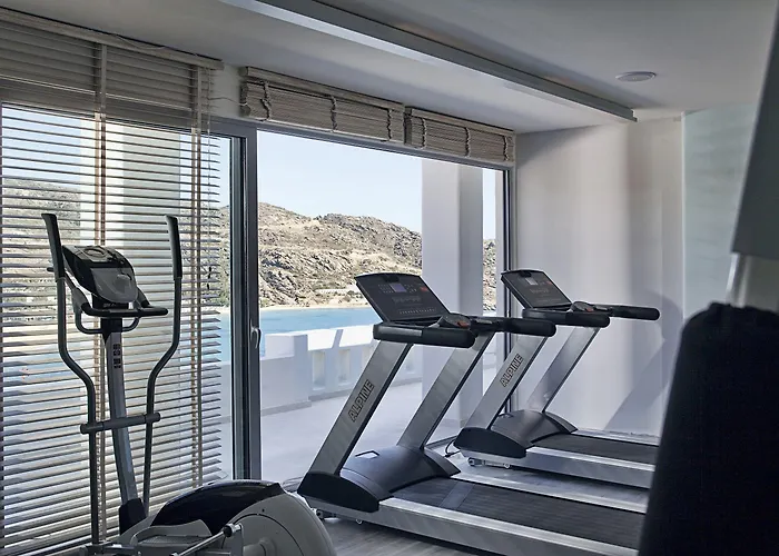 Ios Palace Hotel&spa Mylopotas